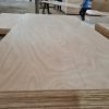 Furniture plywood / Calibrated plywood - Okoume face veneer